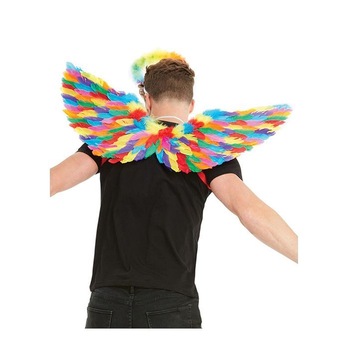 Rainbow Small Feather Wings