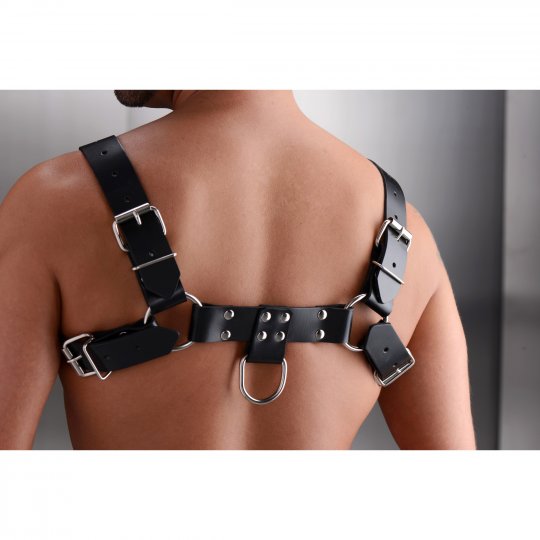 English Bull Dog Harness